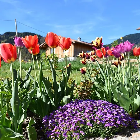 Neue 2 Im Murnauer Moos Grafenaschau