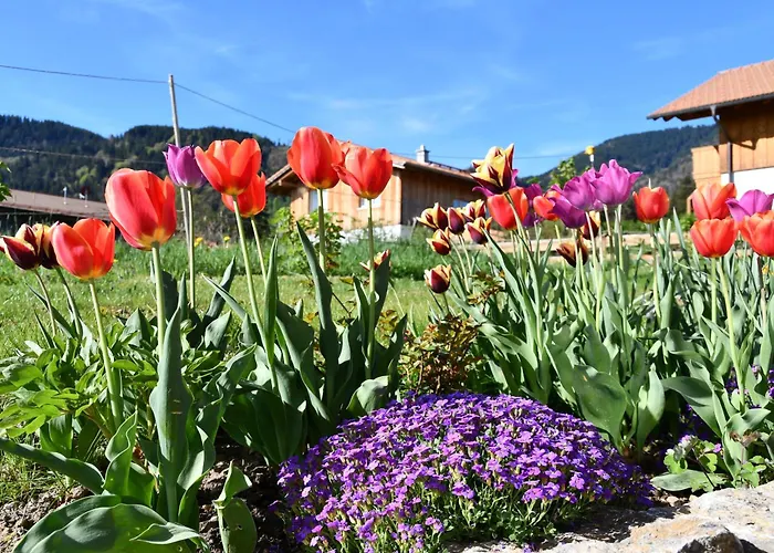 Neue 2 Im Murnauer Moos Grafenaschau